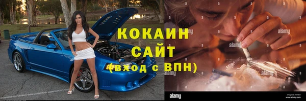 винт Нея