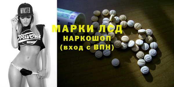 гидра Новозыбков