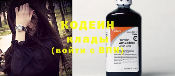 гидра Новозыбков