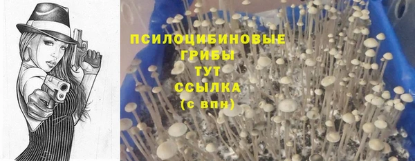 винт Нея