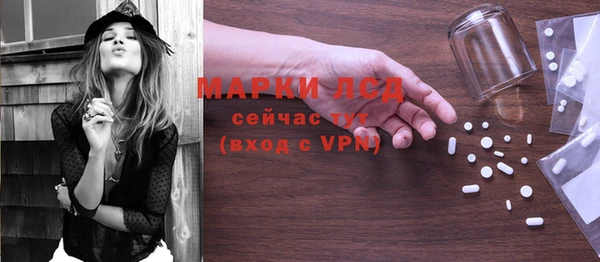 гидра Новозыбков